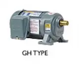 Gear motor